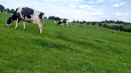 daguitstap naar de Herve streek