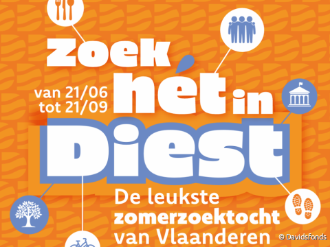 Zoektocht Diest - campagnebeeld.png