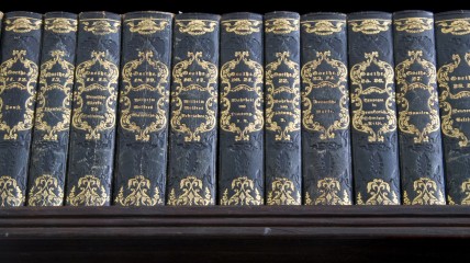 Van Goethe tot Grass. Scharniermomenten in de Duitse literatuur