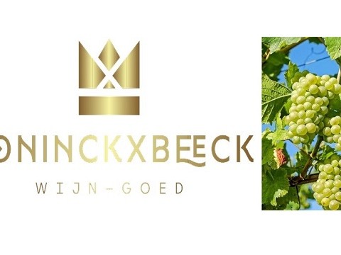 Coninckxbeeck+druiven_3.jpg